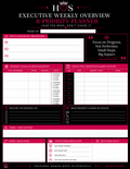 Executive Weekly Overview & Priority Planner -3 | Printable | 8.5 x 11